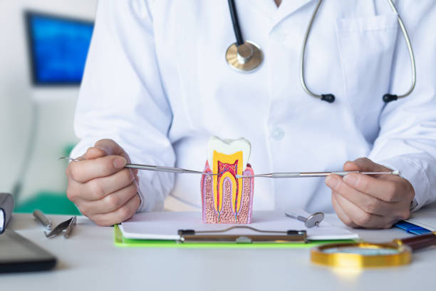 Best Pediatric Emergency Dentist in Catonsville, MD
